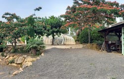 Roujan, Languedoc-Roussillon 34320