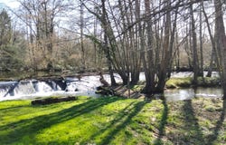 Alloue, Poitou-Charentes 16490