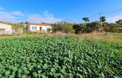 Bize-Minervois, Languedoc-Roussillon 11120