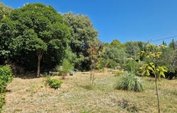 Flayosc, Provence-Alpes-Côte-d'Azur 83780