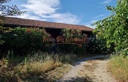 Ribaute-les-Tavernes, Languedoc-Roussillon 30720