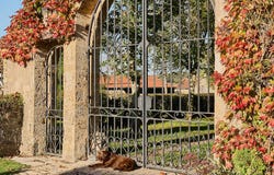 Vézelay, Burgundy 89450