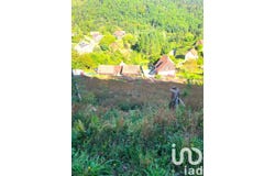 Bourbach-le-Haut, Grand Est 68290