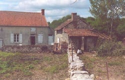 Le Bois Coupe Ciry-le-Noble, Burgundy France, Burgundy, Burgundy 71420