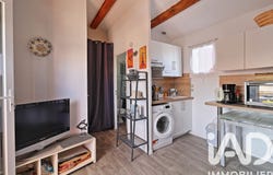 Saint-Cyprien, Occitanie 66750