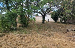 Cognac, Nouvelle-Aquitaine 16100