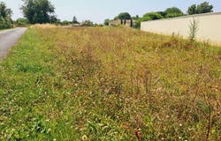 Pouille, Pays de la Loire 85570