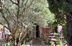 Sainte-Cécile-les-Vignes, Provence-Alpes-Côte d'Azur 84290