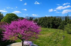 Valflaunès, Languedoc-Roussillon 34270