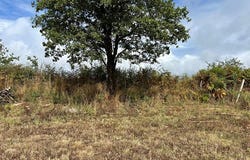 Vue, Pays de la Loire 44640