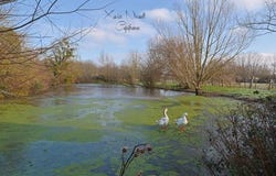 OUROUX SUR SAONE, Bourgogne 71370
