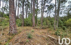 Branoux-les-Taillades, Occitanie 30110