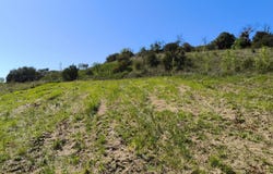 Limoux, Languedoc-Roussillon 11300