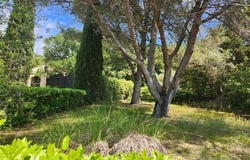 Bollène, Provence-Alpes-Côte d'Azur 84500