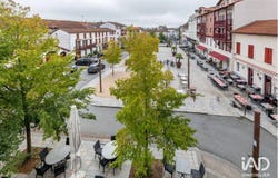 SAINT-PALAIS, Nouvelle-Aquitaine 64120