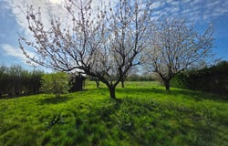 Gigny-sur-Saône, Saône-et-Loire 71240