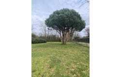 Belin-Béliet, Gironde 33830