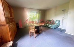 Joinville-le-Pont, Val-de-Marne 94340