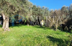 Contes, Provence-Alpes-Côte-d'Azur 06390