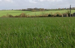Pouillé-les-Côteaux, Pays de la Loire 44522
