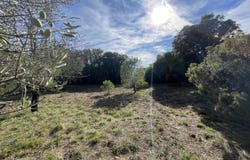 Aumelas, Languedoc-Roussillon 34230