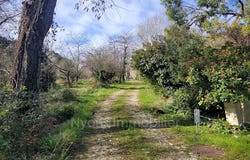 Nyons, Auvergne-Rhône-Alpes 26110