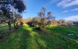 Quissac, Gard 30260