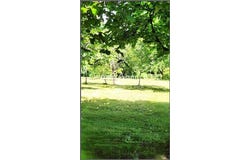 Bussac-Sur-Charente, Poitou-Charentes 17100