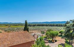 Le Luc, Provence-Alpes-Côte d'Azur 83340