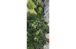 Saint-Étienne, Auvergne-Rhône-Alpes 42100