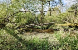 VITRY AUX LOGES, Centre-Val de Loire 45530