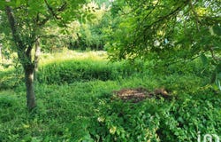 SOUPPES-SUR-LOING, Île-de-France 77460