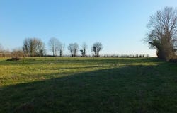 MUSIGNY, Bourgogne 21230