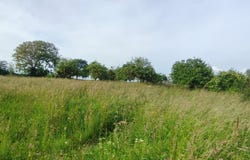 Vains, Normandy 50300