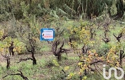 Pierrefeu-du-Var, Provence-Alpes-Côte d'Azur 83390