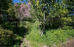 Saint-Lothain, Franche-Comté 39230