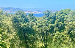Lumio, Corsica 20260