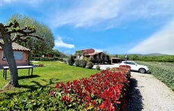 Vidauban, Var 83550