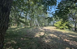MONTJOIRE, Occitanie 31380