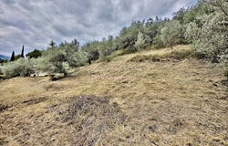 buis les baronnies, Auvergne-Rhône-Alpes 26170