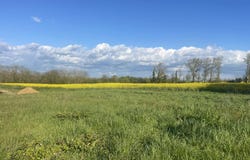 Fourques-sur-Garonne, Lot-et-Garonne 47200