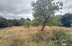 Le Lion-d'Angers, Pays de la Loire 49220