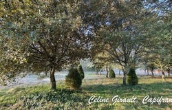 CAUBEYRES, Aquitaine 47160