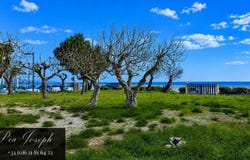 Leucate, Languedoc-Roussillon 11370