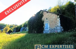 Saint-Astier, Dordogne 24110