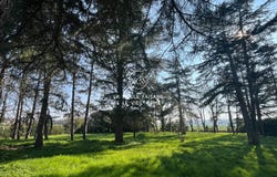 Houdan, Yvelines 78550