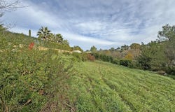 Opio, Provence-Alpes-Côte-d'Azur 06650