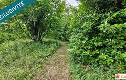 Coulommes-La-Montagne, Champagne-Ardenne 51390
