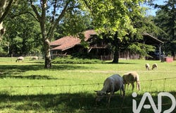 Luxey, Nouvelle-Aquitaine 40430