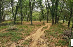 Coux, Ardèche 07000